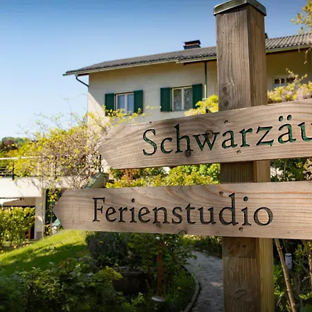 Ferienstudio Traunsee * グムンデン