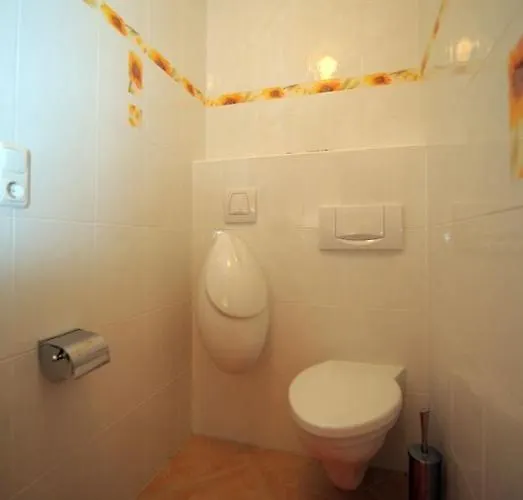 Apartment Ferienstudio Traunsee *